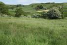 Field Near Burnsall, North Yorkshire